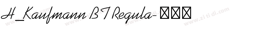 H_Kaufmann BT Regula字体转换